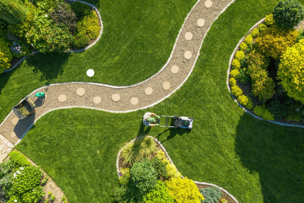 création jardin