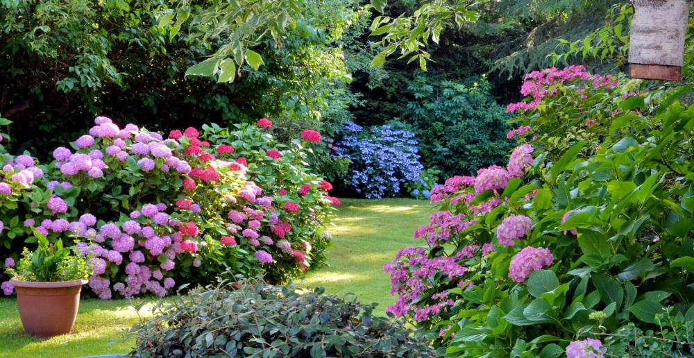 jardin