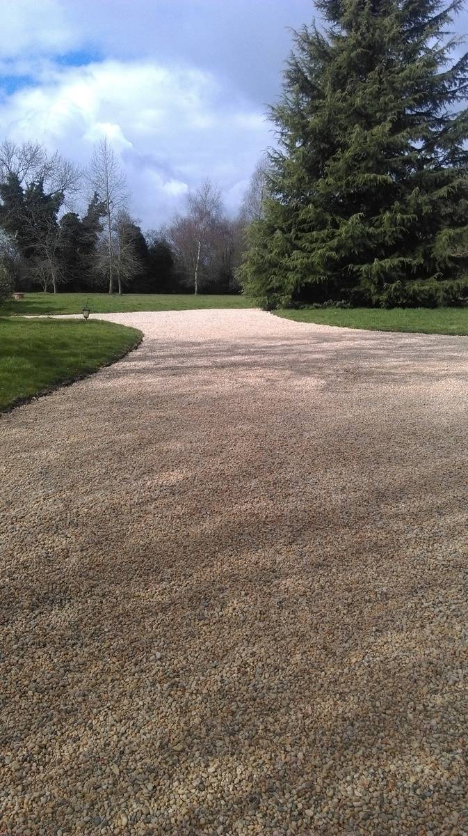 jardin (6)