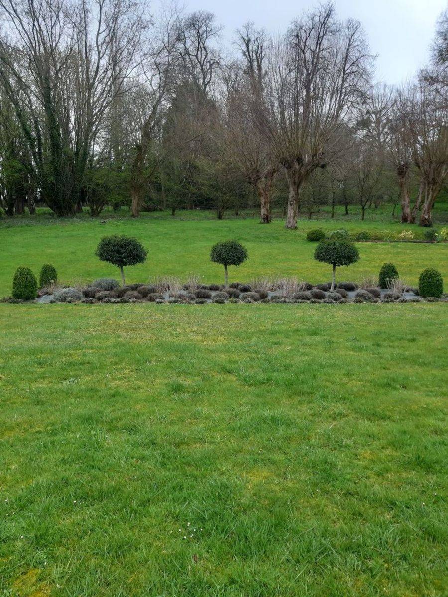 jardin (8)