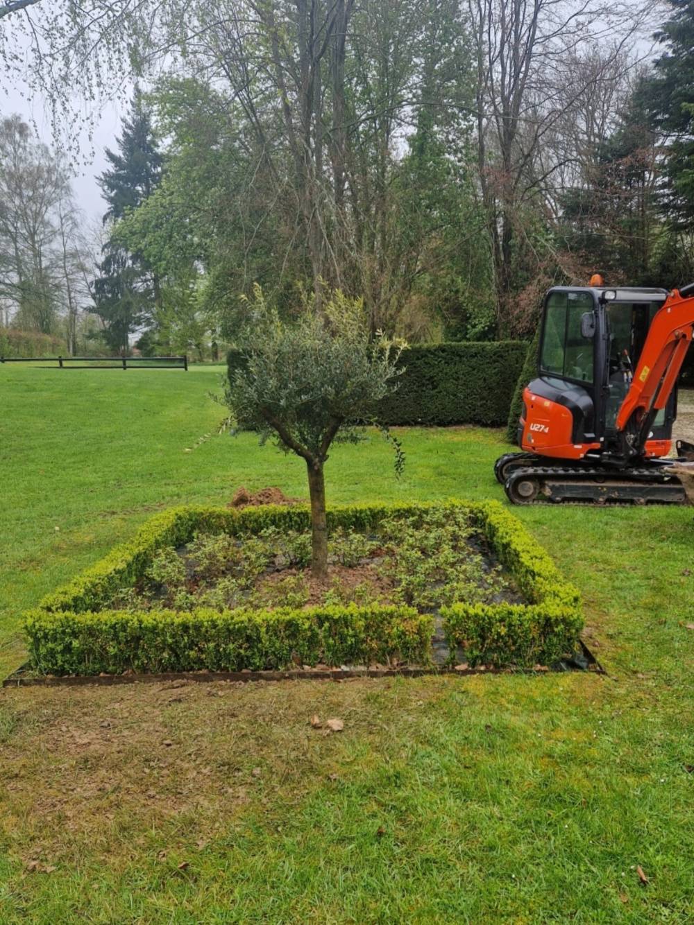 jardin (14)