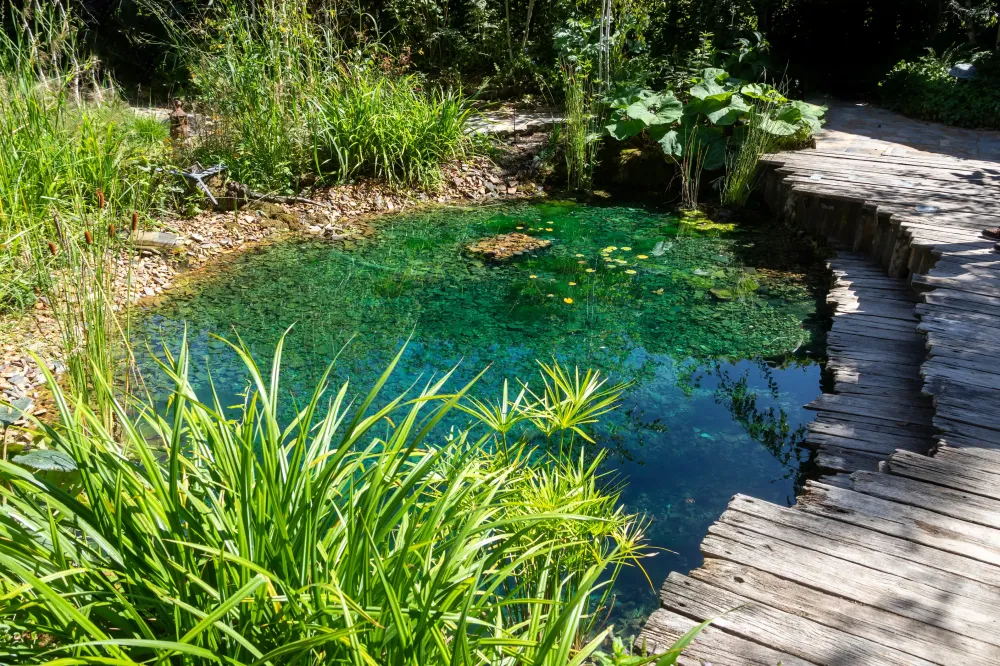 Création de bassin extérieur près de Lisieux - LCD Paysage